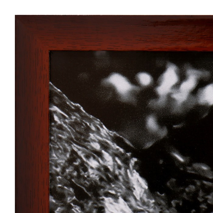 Картина  Картина "Леопард на дереве" 56х106см рамка микс