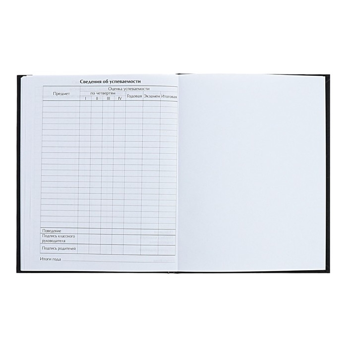 Дневник универсальный для 1-11 классов Дневник универсальный для 1-11 классов "Аниме. Музыка", твёрдая обложка, голография, 40 листов