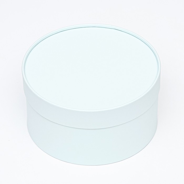 Подарочная коробка Подарочная коробка "Frilly" лагуна, завальцованная без окна, 21 х 11 см