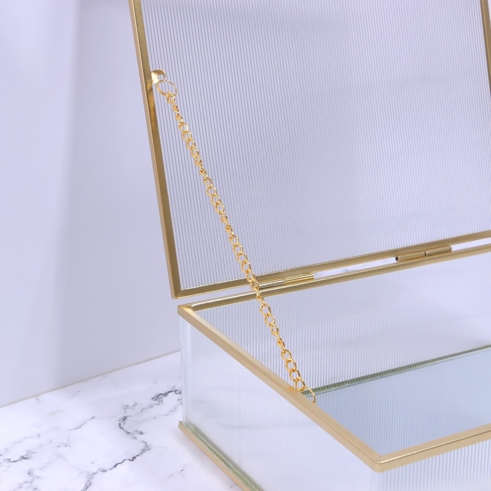 Органайзер для хранения «RIPPLES», с крышкой, стеклянный, с зеркальным дном, 1 секция, 20 × 16 × 6,5 см, цвет прозрачный/медный Органайзер для хранения «RIPPLES», с крышкой, стеклянный, с зеркальным дном, 1 секция, 20 × 16 × 6,5 см, цвет прозрачный/медный