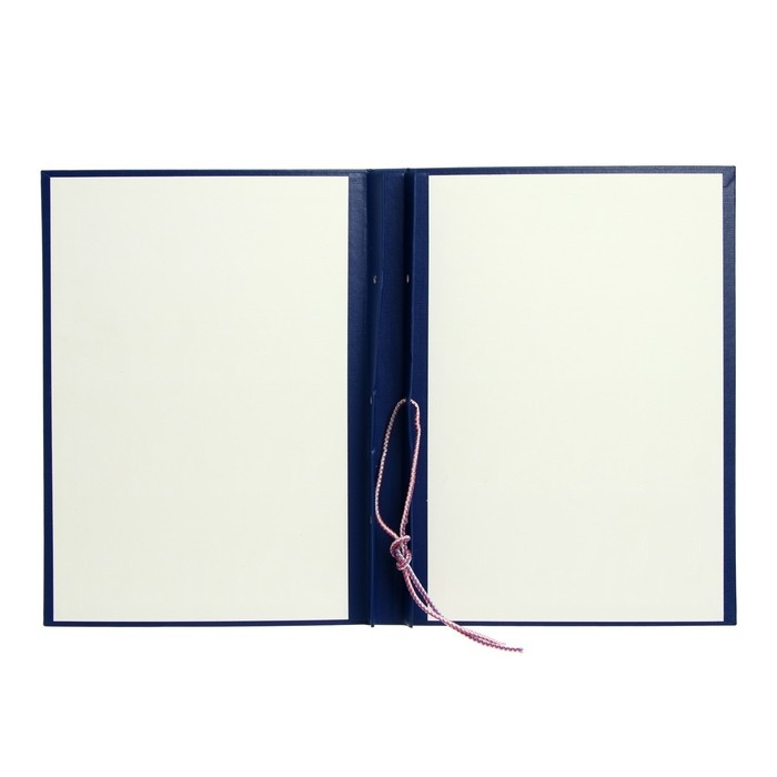 Папка "Курсовой проект" А4, бумвинил, гребешки/сутаж, без бумаги, цвет синий (вместимость до 300 листов)