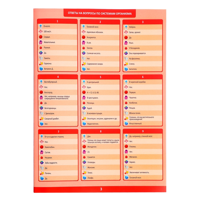 Настольная игра «Викторина. Как устроен человек?», 7-12 лет