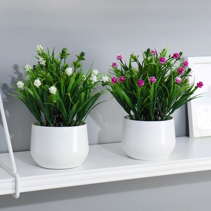 Бонсай в горшке Бонсай в горшке "Розочки мини" 11х16 см, микс