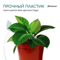 Горшок для рассады, 5 л, d = 22 см, h = 18 см, пластик, терракот, Greengo