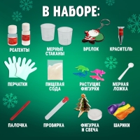 Набор для опытов «Новогодняя лаборатория», 10 опытов, 16 предметов