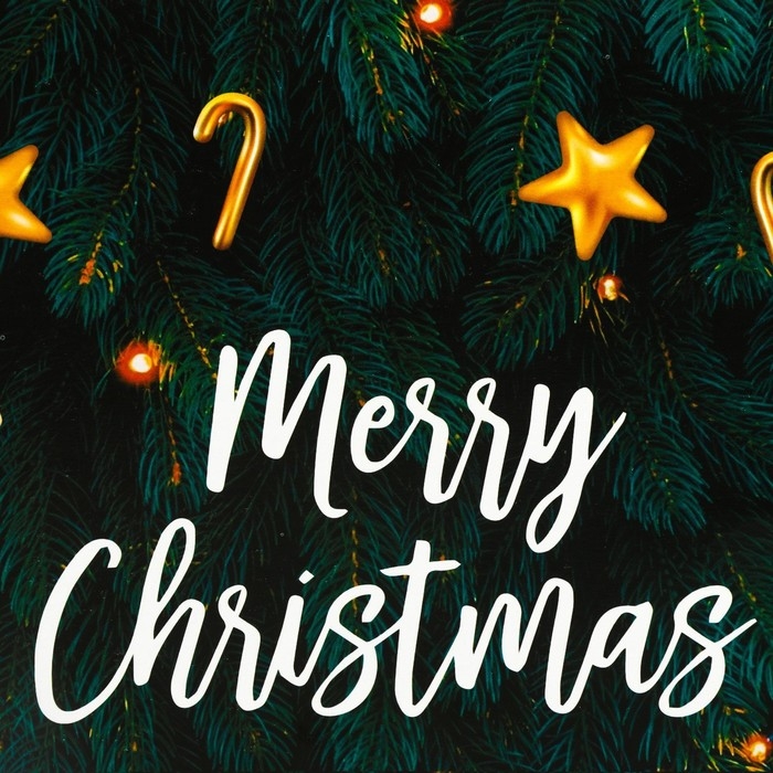 Коробка для торта новогодняя с окном «Merry Christmas», 30 х 30 х 19 см. Новый год Коробка для торта новогодняя с окном «Merry Christmas», 30 х 30 х 19 см. Новый год