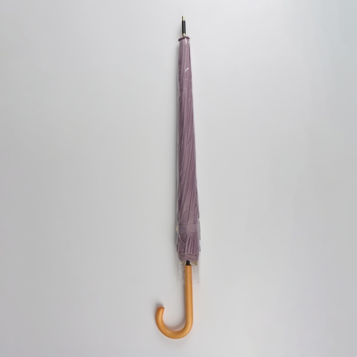 Зонт - трость полуавтоматический «Пастель», 16 спиц, R = 52/60 см, D = 120 см, цвет сиреневый Зонт - трость полуавтоматический «Пастель», 16 спиц, R = 52/60 см, D = 120 см, цвет сиреневый