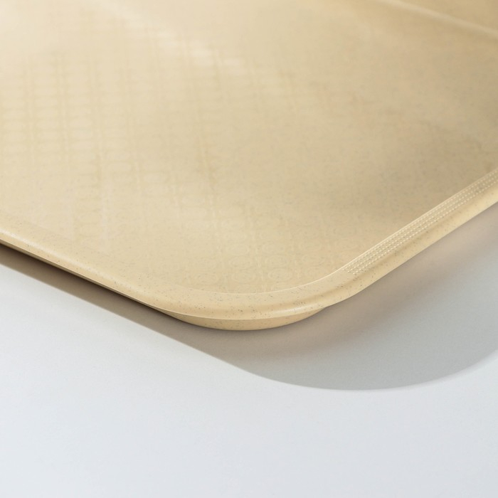 Поднос, 52,5×32,5 см, цвет бежевый Поднос, 52,5×32,5 см, цвет бежевый