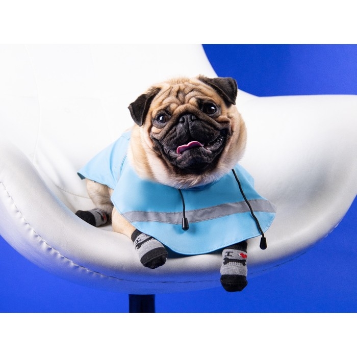 Носки нескользящие  Носки нескользящие "Люблю косточки", L (3,5/5 * 9 см), набор 4 шт