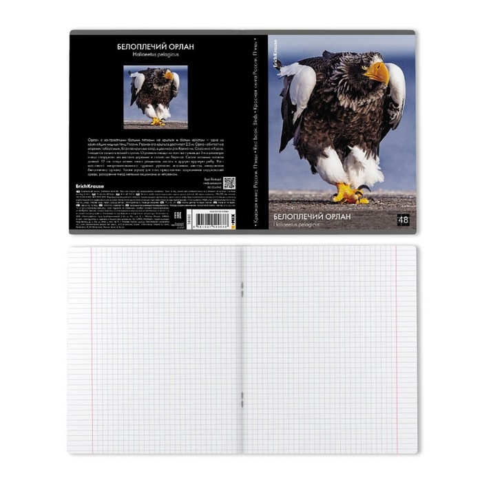 Тетрадь 48 листов в клетку, ErichKrause Тетрадь 48 листов в клетку, ErichKrause "Красная книга России. Птицы", обложка мелованный картон, глянцевая ламинация, блок офсет 100% белизна, МИКС