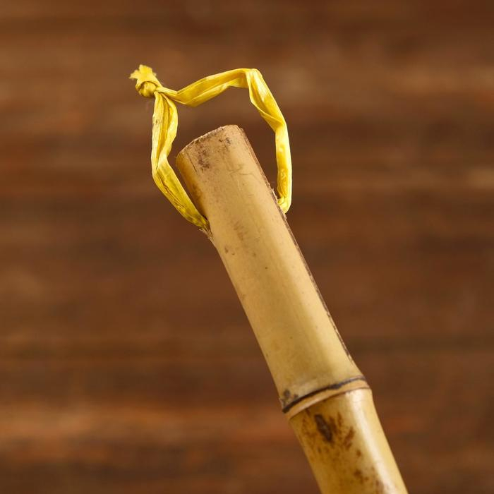 Метла  Метла "Раджа" бамбук 50х5х100 см  МИКС