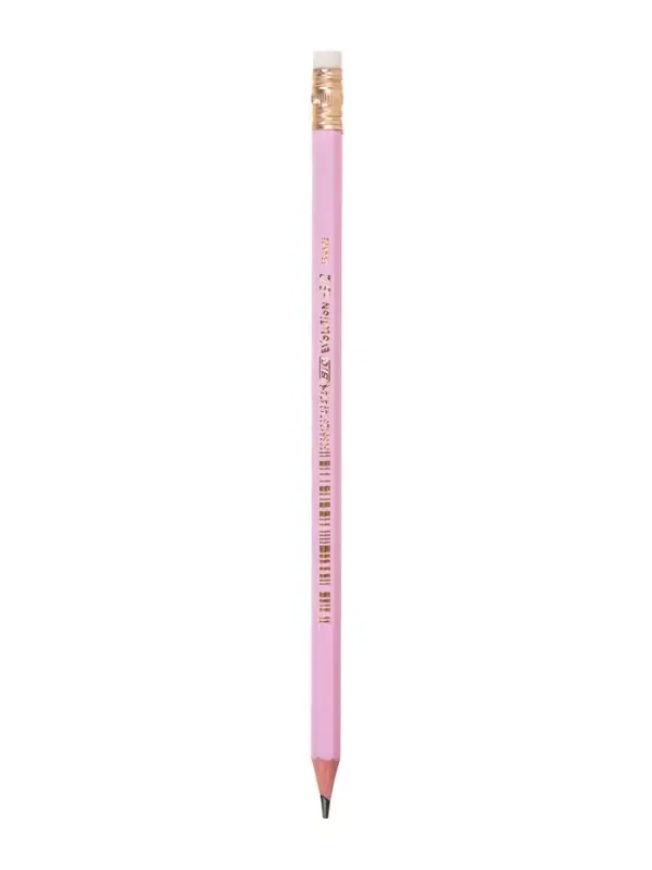 Карандаши чернографитные BIC HB Evolution &laquo;Пастель&raquo;, набор 5 штук, пластиковые, с ластиками
