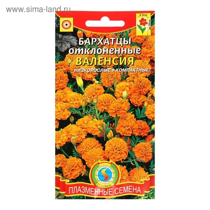 Семена Бархатцы низкорослые  Семена Бархатцы низкорослые "Валенсия", 45 шт