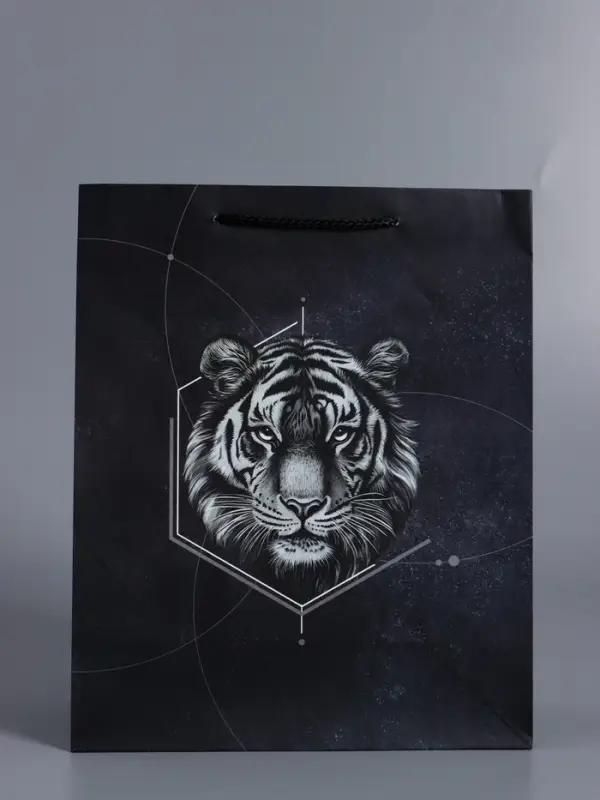 Пакет подарочный "Сила характера" ламинированный 26 х 12 х 32 см