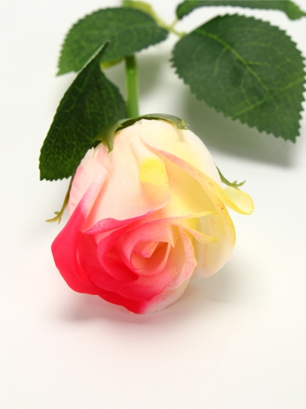 Дымная мыльная бежевая роза