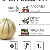 Семена Дыня &laquo;Бест Джумбо&raquo;, 1 г, &laquo;Рецепты дедушки Никиты&raquo;