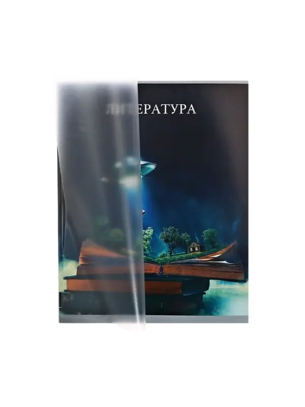 Предметная тетрадь по литературе Calligrata TOP &laquo;Школьный стиль&raquo;, 48 листов, в линейку, со справочным материалом, пластиковая обложка