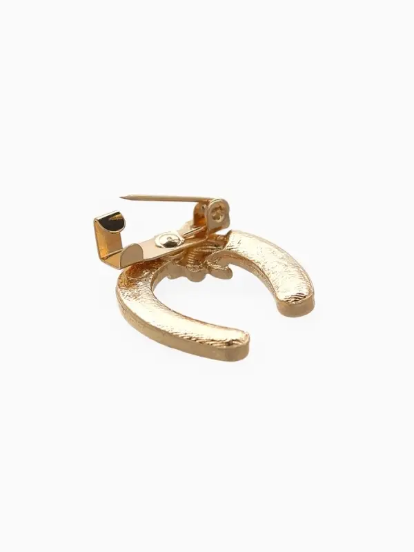 Брошь &laquo;Подкова с клевером - на удачу&raquo;, МИКС