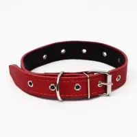 Ошейник кожаный на синтепоне, безразмерный, 65&times;3 см, ОШ 22-55 см, красный