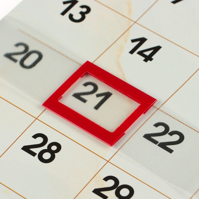 Календарь перекидной на скрепке Календарь перекидной на скрепке "Символ года - 4" с курсором, 2025 год, 29 х 29 см