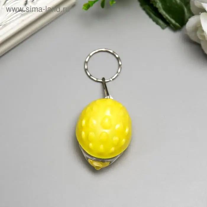 Фонарик брелок для ключей на кольце «Ёжик», 2.8×3.5×4.8 см, МИКС Фонарик брелок для ключей на кольце «Ёжик», 2.8×3.5×4.8 см, МИКС