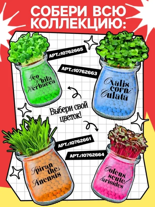 Набор для опытов &laquo;Выращиваем травку&raquo; своими руками, красный