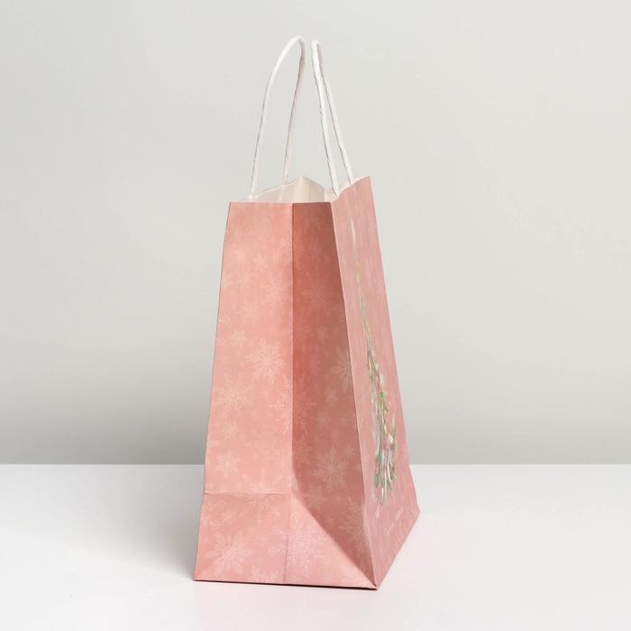 Пакет подарочный новогодний крафтовый «Новогодние сны», 22 х 25 х 12 см, Новый год Пакет подарочный новогодний крафтовый «Новогодние сны», 22 х 25 х 12 см, Новый год