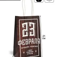 Пакет подарочный крафт, упаковка, &laquo;С 23 февраля&raquo;, 12&times;21&times;9 см