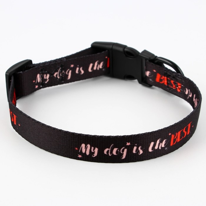 Ошейник My dog is the best, застёжка - фастекс, 2 см 25-40 см Ошейник My dog is the best, застёжка - фастекс, 2 см 25-40 см