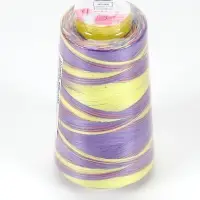 Нитки мультиколор, 2700 м, 40/2, полиэстер, разноцветные