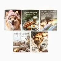 Набор мини-открыток в коробке со скрепками «Котики», 35 штук, 8 x 10 см Набор мини-открыток в коробке со скрепками «Котики», 35 штук, 8 x 10 см