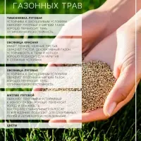 Газонная травосмесь &laquo;Мавританский &raquo; 1.0 кг