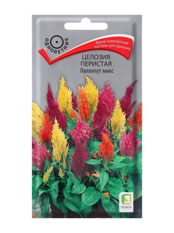 Семена цветов Целозия перистая Лиллипут микс, 0,1гр Семена цветов Целозия перистая Лиллипут микс, 0,1гр