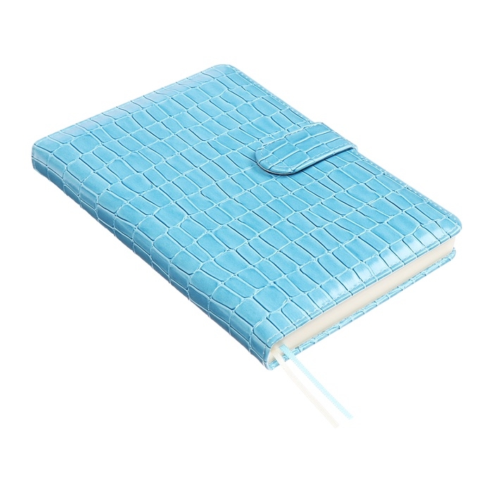 Ежедневник датированный 2025 года A5, 168 листов, deVENTE. Barbara, твердая обложка кожзам с поролоном, перфорацией, ляссе, блок 70, голубой Ежедневник датированный 2025 года A5, 168 листов, deVENTE. Barbara, твердая обложка кожзам с поролоном, перфорацией, ляссе, блок 70, голубой