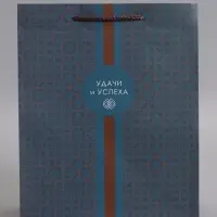 Пакет подарочный "Статусный акцент" ламинированный 26 х 12 х 32 см