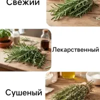 Семена Розмарин &laquo;Ароматный&raquo;, 0.03 г, &laquo;Семена Алтая&raquo;