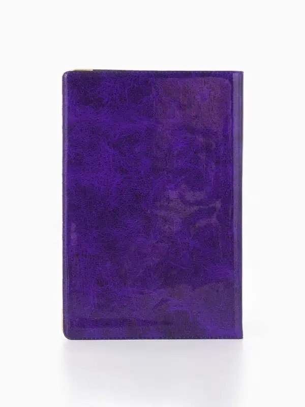 Обложка для паспорта, с гербом, 9.5&times;0.5&times;13.5 см, МИКС