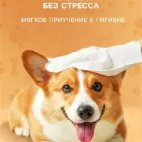 Влажные перчатки-салфетки для ежедневного ухода, 6 шт.