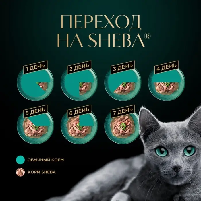Влажный корм Sheba Natures для кошек, пауч, лосось/горох, 75 г Влажный корм Sheba Natures для кошек, пауч, лосось/горох, 75 г