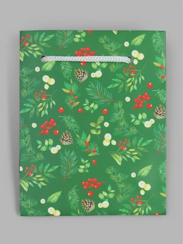 Пакет подарочный новогодний &laquo;Веточки&raquo;, 11.5&times;14.5&times;6.5 см
