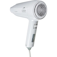 Фен настенный Luscan Professional Etalon 1800 (PL-178, white)