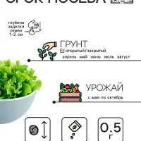 Семена Салат "Кучерявец Одесский", 0,5 г