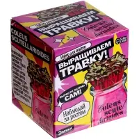 Набор для опытов &laquo;Выращиваем травку&raquo;, своими руками, розовый