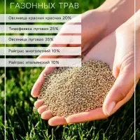 Газон декоративный &laquo;Зеленый квадрат&raquo;, 30 г