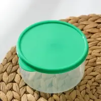 Контейнер круглый Доляна, пищевой, 500 мл, прозрачный, крышка зелёная Контейнер круглый Доляна, пищевой, 500 мл, прозрачный, крышка зелёная