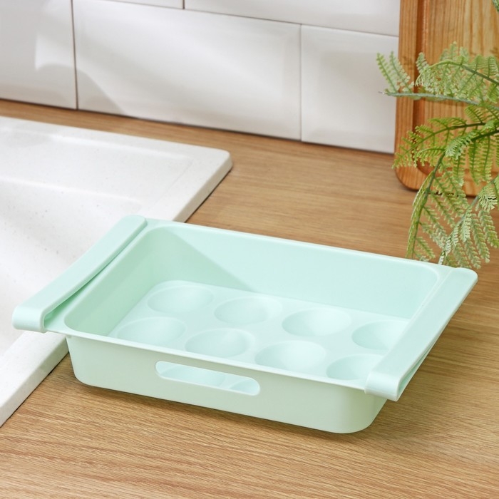 Полка для яиц в холодильник, подвесная, 12 ячеек, 26×17×5 см, МИКС