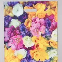 Пакет "Весенний букет", полиэтиленовый с вырубной ручкой, 38 х 45 + 3 см, 60 мкм