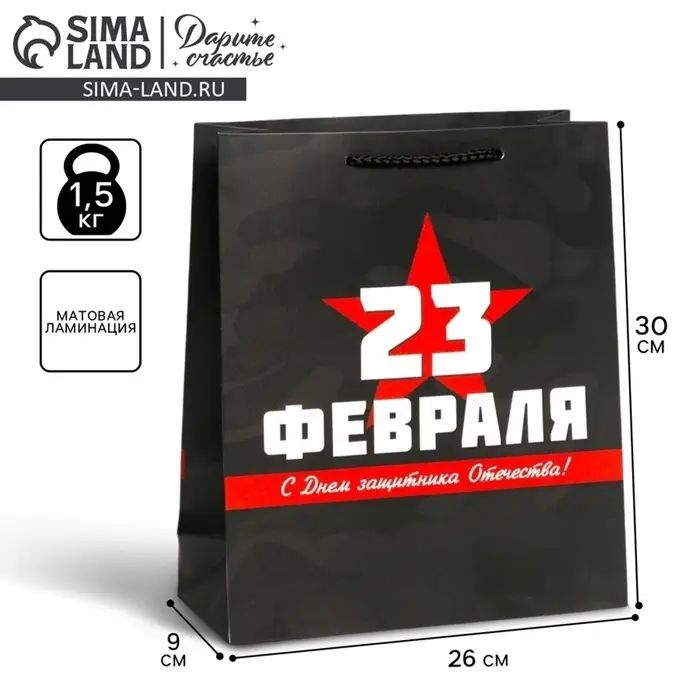 Пакет подарочный ламинированный, упаковка, &laquo;С 23 февраля&raquo;, M 26&times;30&times;9 см