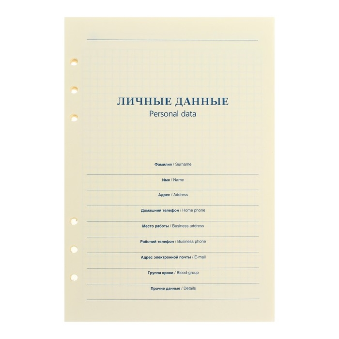 Сменный блок для органайзера А5, 80 листов в клетку, тонированный  Сменный блок для органайзера А5, 80 листов в клетку, тонированный "Кремовый"