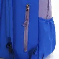 Рюкзак молодёжный на молнии, с карманами, двухцветный, размер 31&times;15&times;46 см, сиреневый